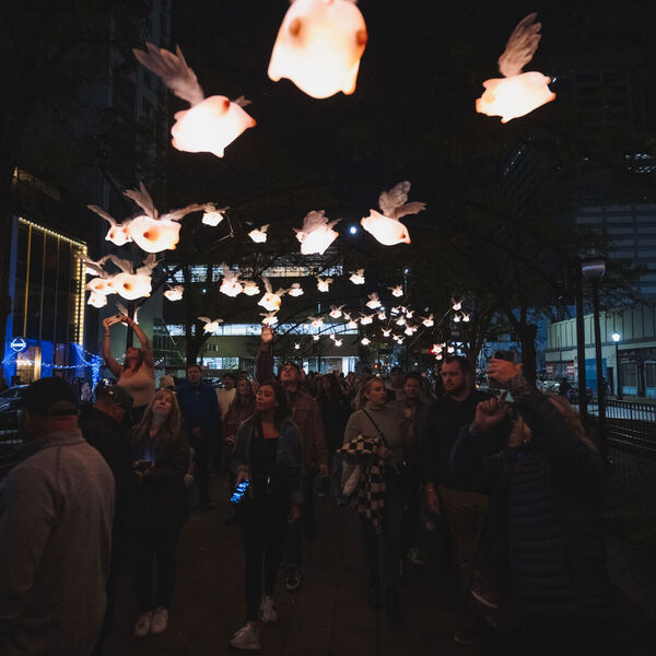 When Pigs Fly