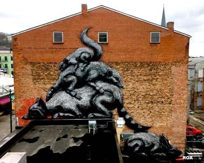 roa