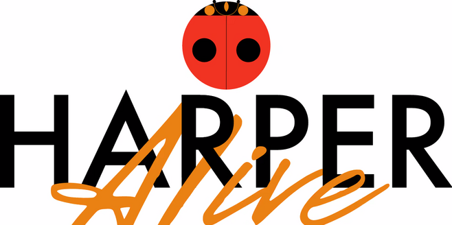 C7925242 70d7 4f04 95b3 4511035ae9a4responsive 1600.png
